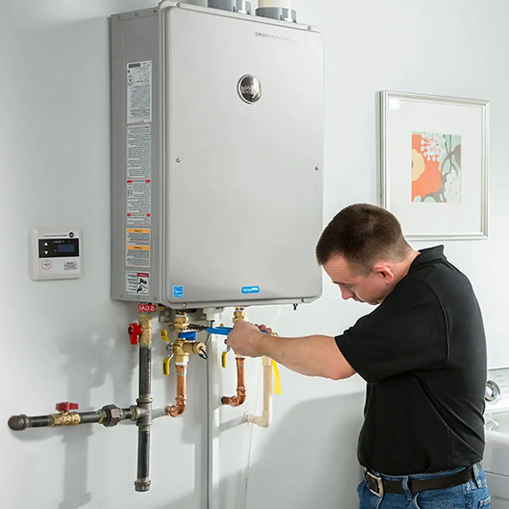 tankless water heater repair in Burdett, NY